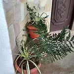 Recanto Vieira